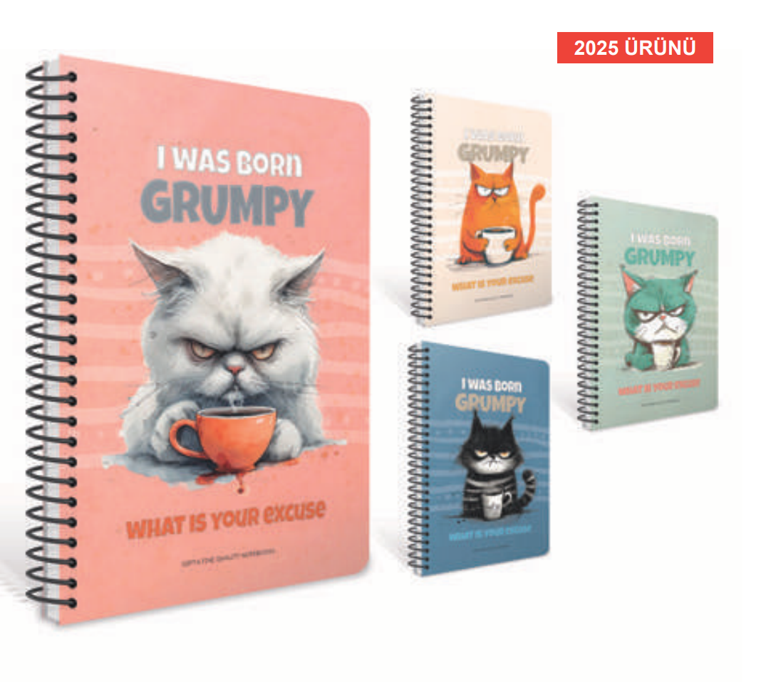 Gıpta Spiralli Sert Kapak Defter A5 100 Yaprak Çizgili